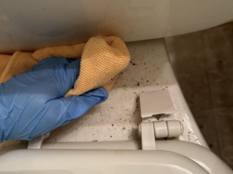 toilet-cleaning-before-and-after-cleaning-company-winchester-va