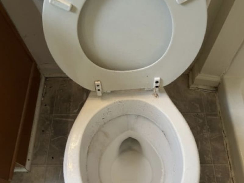 toilet-cleaning-before-and-after-cleaning-company-winchester-va